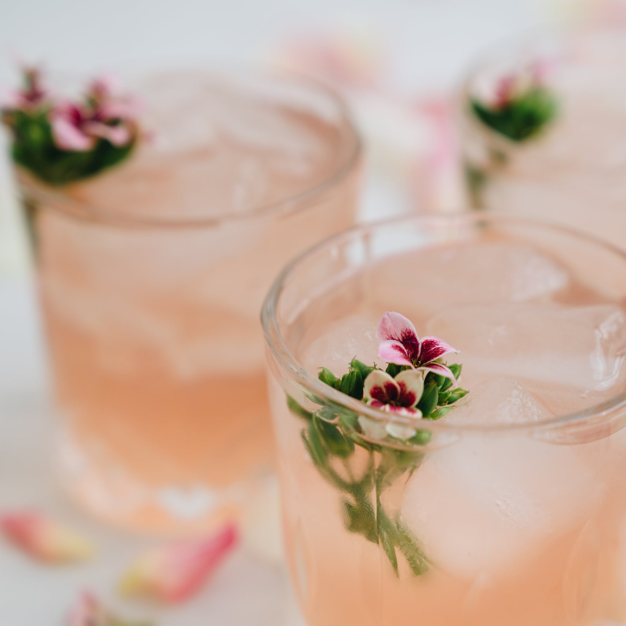 3 cocktail flasker 0,5 liter
