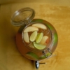 appeltini dispenser top